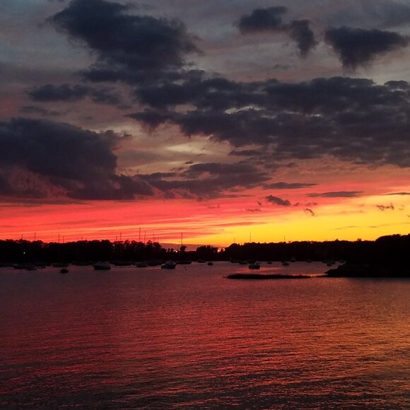 Meet your Posher, Samantha - Picture 1 of 1